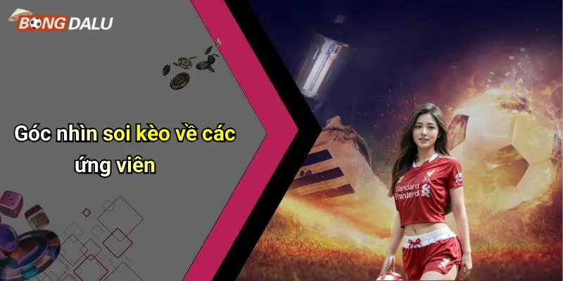 Góc nhìn soi kèo về các ứng viên