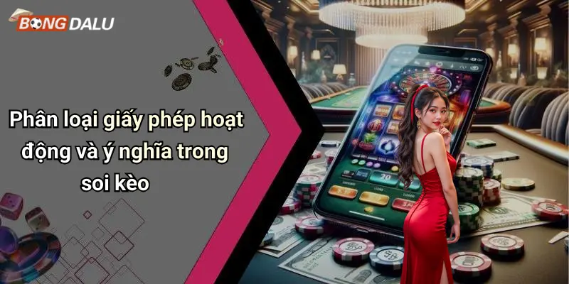 Phân loại giấy phép hoạt động và ý nghĩa trong soi kèo