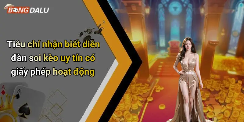 Tiêu chí nhận biết diễn đàn soi kèo uy tín có giấy phép hoạt động