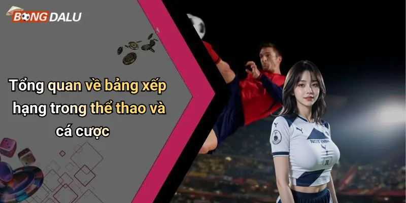 Tổng quan về bảng xếp hạng trong thể thao và cá cược