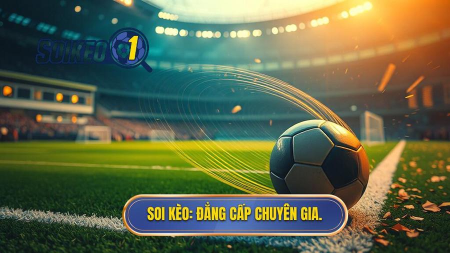 SOI KÈO_ Đẳng cấp chuyên gia.
