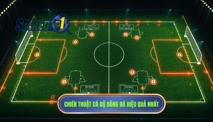Các chiến thuật cá độ bóng đá phổ biến và hiệu quả nhất hiện nay